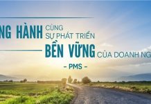 pms-truong-dao-tao-tu-van-doanh-nghiep