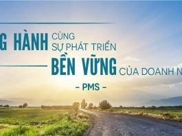 pms-truong-dao-tao-tu-van-doanh-nghiep